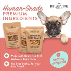 Crafted By Humans Loved By Dogs Portland Pet Food Company All-Natural Dog Treat Biscuits Multipack (3 X 5 Oz Bags) – Bacon Flavor – Grain-Free, Gluten-Free, Human-Grade, Limited Ingredients -Zoo Shop 61rZ1IoFJkL
