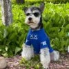Schnauzer Brand Dog Clothes Thin Pet Cat T-Shirt In Spring And Summer, Bomei Bixiong Small Dog Sunscreen Vest (Blue T-Shirt (kaw),L) 2 Schnauzer Brand Dog Clothes Thin Pet Cat T-Shirt In Spring And Summer, Bomei Bixiong Small Dog Sunscreen Vest (Blue T-Shirt (kaw),L) -Zoo Shop 61sLuUBdIxL