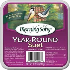 Morning Song Year-Round Suet