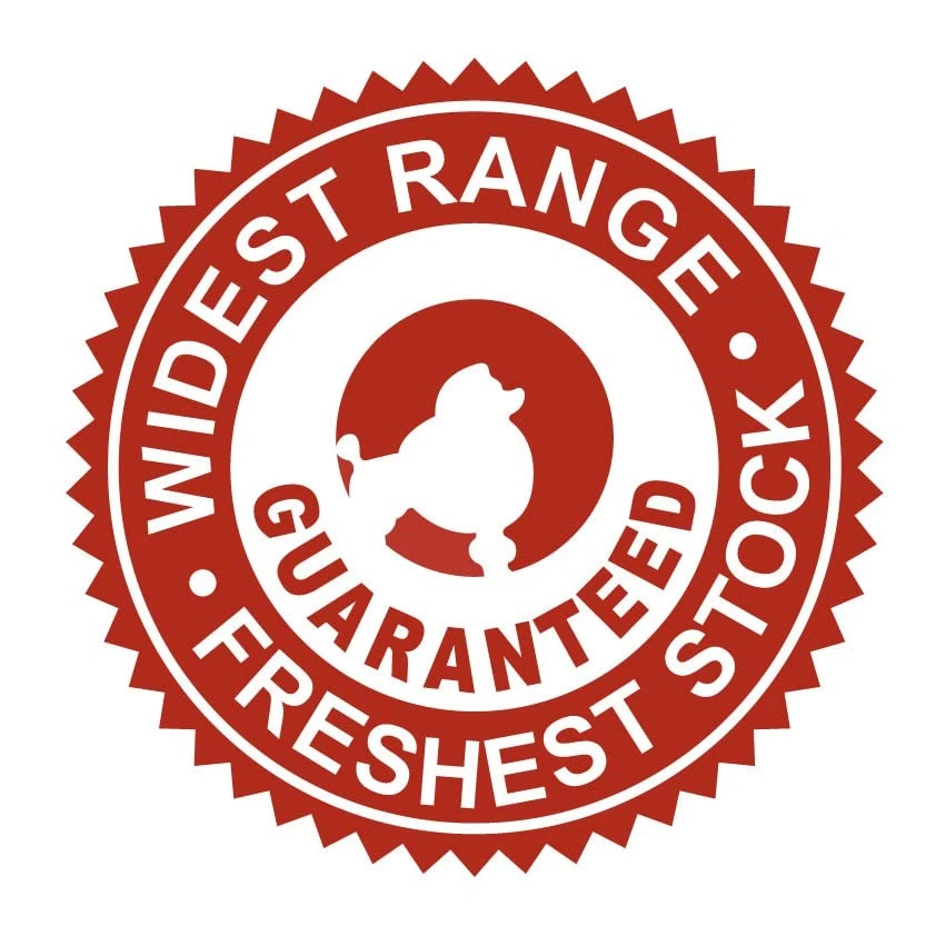 Isle Of Dogs Coature No. 62 Evening Primrose Oil Dog Conditioning Mist For Dry Or Sensitive Skin, 8.4 Oz 4 Isle Of Dogs Coature No. 62 Evening Primrose Oil Dog Conditioning Mist For Dry Or Sensitive Skin, 8.4 Oz - Image 2