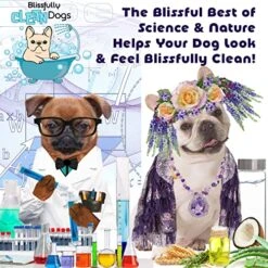 The Blissful Dog Poodle Drama Queen Dog Shampoo, 8 Oz. -Zoo Shop 61xe3b1j7eL 2