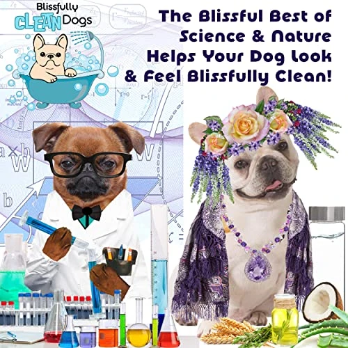 The Blissful Dog Razzle Dazzle White Shampoo, 1 Gallon 5 The Blissful Dog Razzle Dazzle White Shampoo, 1 Gallon - Image 3