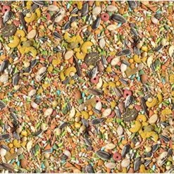 Wild Harvest Cockatiel Advanced Nutrition Diet, 8 Pound -Zoo Shop 71bBB3Tb9JL