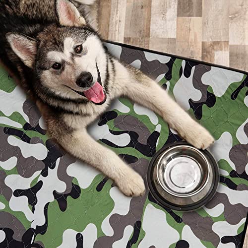 Zoo Shop -Zoo Shop 51cz7KXa60L